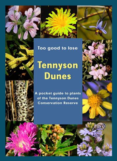 Tennyson Dunes Plant Booklet Tennyson Dunes