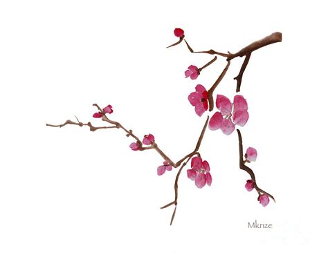 Chinese Cherry Blossom Drawing At Getdrawings Free Download