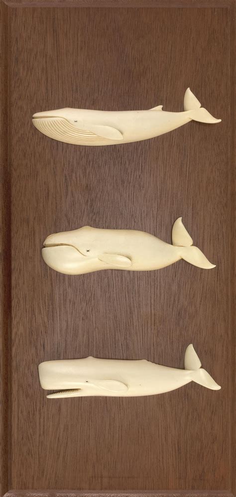 Lot Whale Display Plaque Carved Whale Ivory Finback Bowhead And Sperm Whales Mounted To A