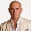 Pitbull  Discography Discogs
