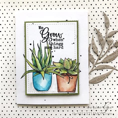 A cactus doesn't live in the desert because it likes the desert; Paper Rose Studio - Cactus Quotes and Cactus Wishes Cards - Velvetlemon