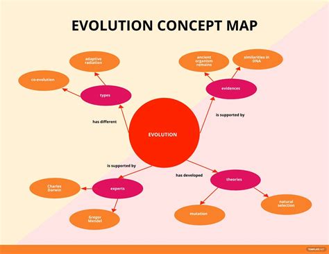 Concept Map What Is A Concept Map Definition Types Uses