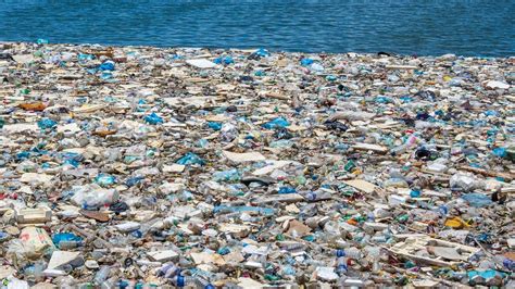 Promising Report Finds Great Pacific Garbage Patch Could Support Full
