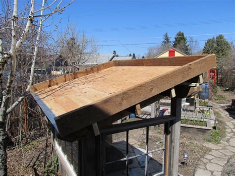 Montana Wildlife Gardener Green Roof For The Grill Shed Phase 1
