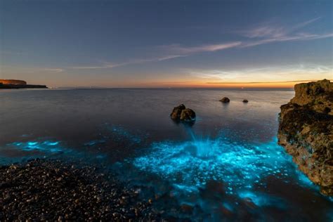 Bioluminescent Plankton Glows In Amazing Welsh Landscapes Nature Ttl