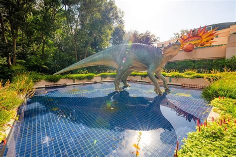 Built on a theme taking inspiration from the many cultures around the world, circling around a central animal message, the park's icon is the magnificent tree of life. Best Animal Kingdom Attractions & Ride Guide - Disney ...