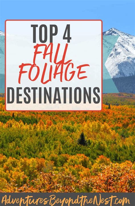 If You Want To See The Best Fall Foliage It Takes A Little Planning