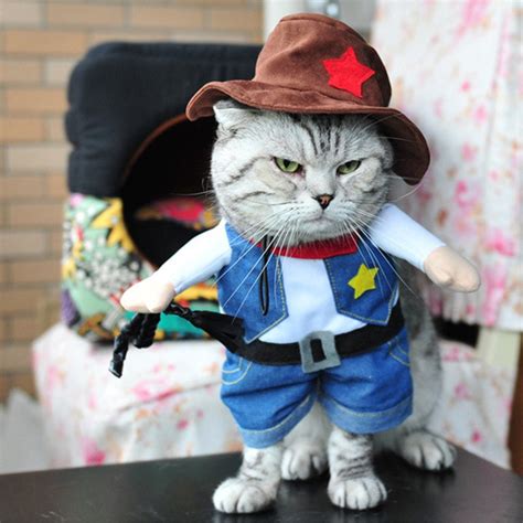 Easter Outfit Cute Cat Costumes For Pets Funny Cowboy