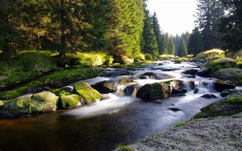 Hd Mountain Stream Wallpaper Wallpapersafari