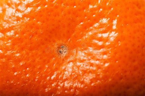 Orange Skin Texture Stock Photo Image Of Tangelo Orange 99944606