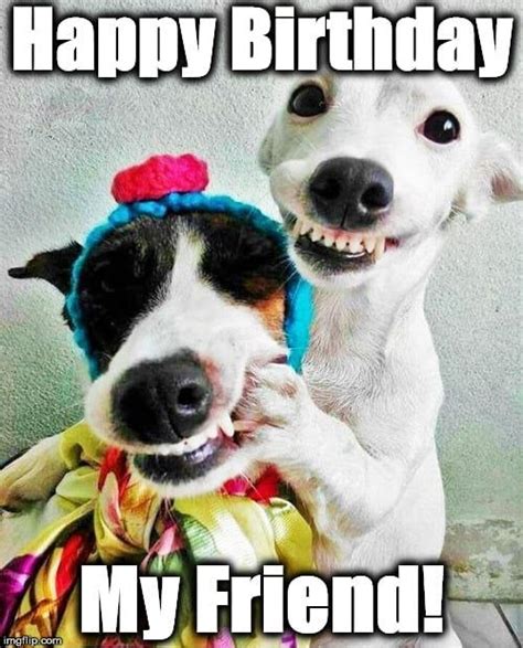 100 Happy Birthday Memes Funny Bday Images And Quotes Happy Birthday My Friend Happy