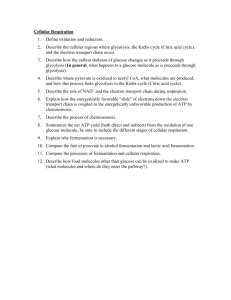 Ap biology chapter 26 reading guide answer key, ap biology chapter 17 guided ap biology reading guide fred and theresa holtzclaw chapter 48 page 1 of 6 ap biology name chapter 19 guided reading. Worksheet: Cellular Respiration and Cell Energy