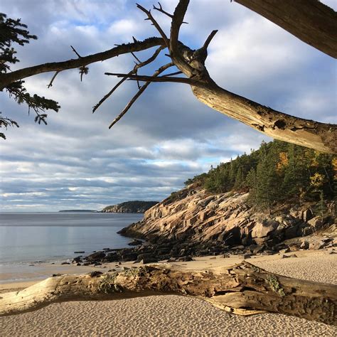Sand Beach Acadia National Park All You Need To Know Before You Go