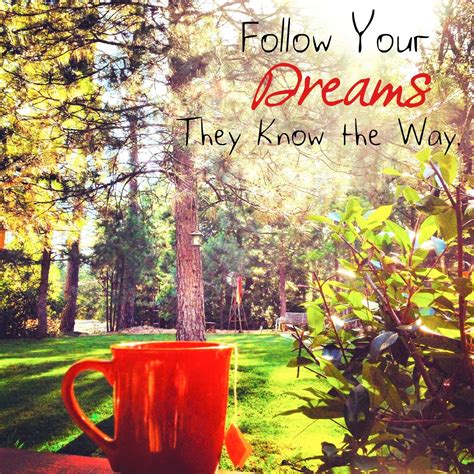 Follow Your Dreams They Know The Way Pictures Photos And Images For