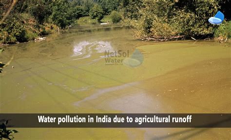 Which Agricultural Reasons Lead To Water Pollution In India