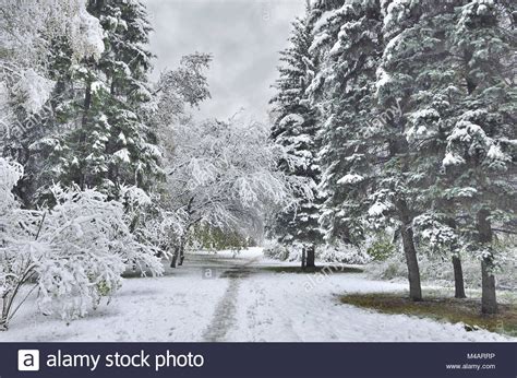 First Snowfall Hi Res Stock Photography And Images Alamy