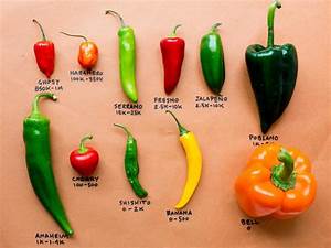 Chilies How To Prepare And The Different Varieties To Choose From