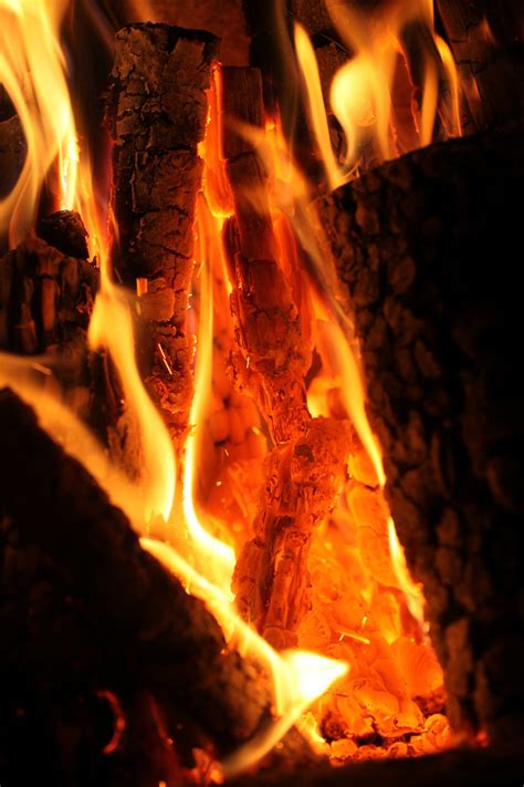 Free Images Flame Fire Campfire Bonfire Burn Hot Flames