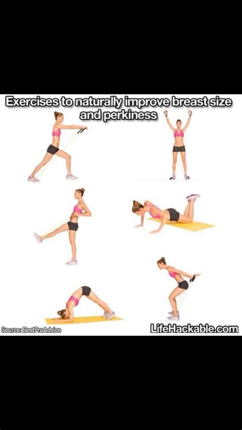Easy Exercises That Make Your Boobs Grow Musely