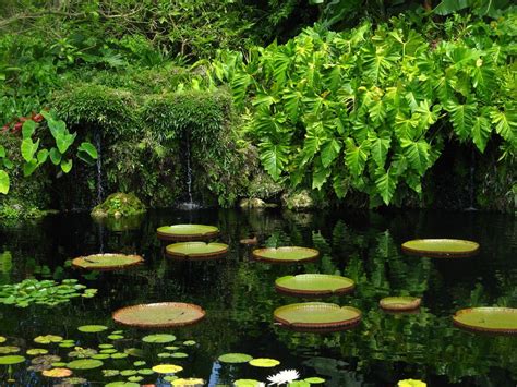 11 Most Stunning Botanical Gardens in America
