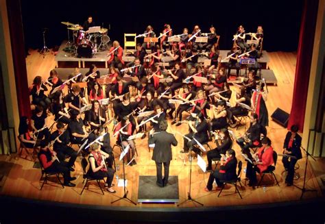 El Blog De Puntocoma Concierto De La Gran Orquesta De Flautas En El