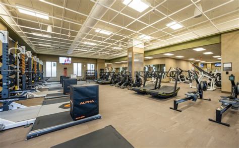 life time gym membership pricing benefits and amenities