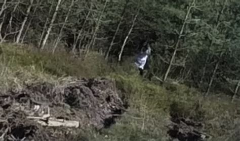 Drone Captures Footage Of Mysterious Figure At Cannock Chase