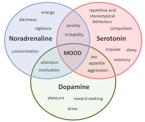 Exploring The Relationship Between Anxiety And Depression Figure 2