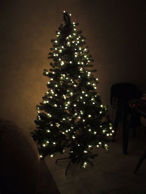 Christmas Tree Pics 01