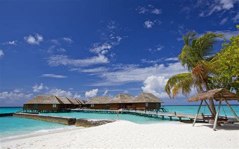 download wallpapers summer sea maldives bungalows beach palms tropical islands for desktop