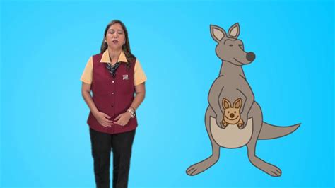 Kangaroo Breathing Conscious Discipline Youtube