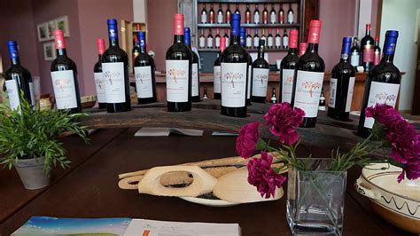 Dealu Mare Wine Tour Day Trip By Delish Experiences