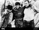 TOMMY SANDS FERNANDO LAMAS & ALDO RAY THE VIOLENT ONES (1967 Stock ...