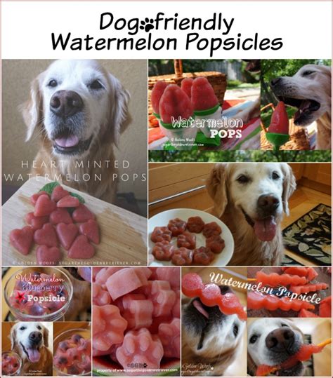 5 Simple Dog Friendly Watermelon Popsicles Golden Woofs