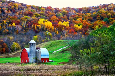 Late Fall Colors on the Farm... - Pahl's Market - Apple Valley, MN
