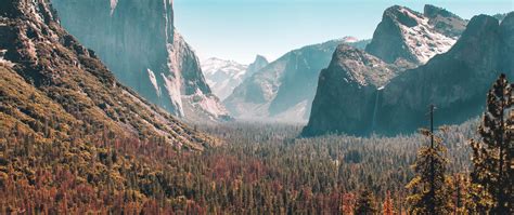 2560x1080 Forest Mountain Yosemite Valley 5k 2560x1080 Resolution Hd 4k