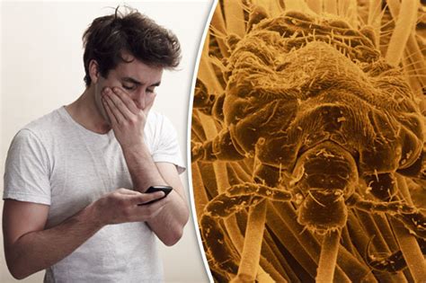Experts Reveal The Shocking Number Of Tinder Users Who Have Crabs