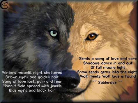 Poem Wolf Love Golden Hair Shadow