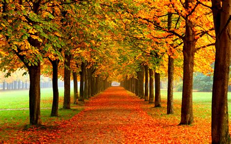 Die 81 Besten Herbst Hintergrundbilder Hd