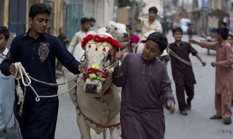 Pakistanis Gear Up For Eidul Azha Festivities Pakistan Dawncom