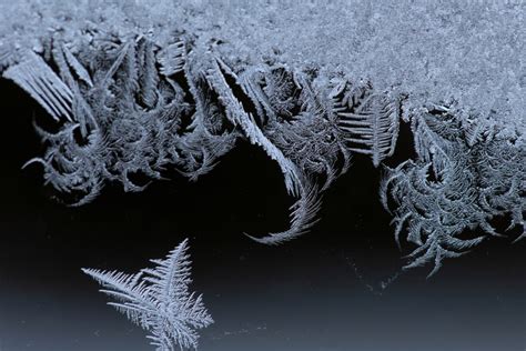 Free Picture Beautiful Frost Frosty Ice Crystal Snowflakes Ice