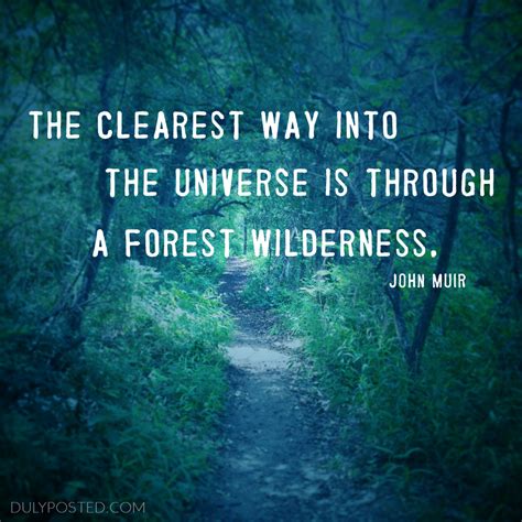 Forest Quotes Quotesgram