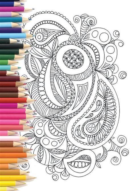 Adult Colouring Page Paisley Doodle Etsy