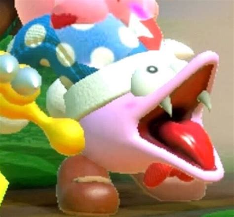 The Best Kirby Memes Memes Amino