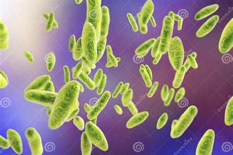 Brucella Bacteria Illustration Stock Illustration Illustration Of