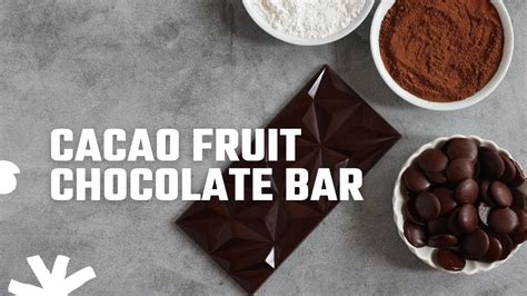 Cacao Fruit Chocolate Bar Youtube