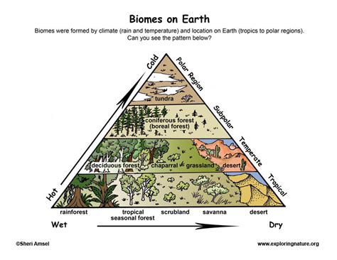 Biomes Locations On Earth