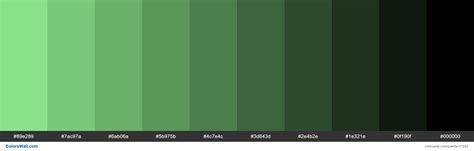 Shades X11 Color Pale Green 98fb98 Hex Colorswall