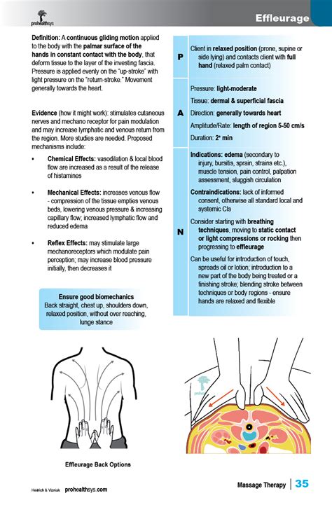 Introduction To Massage Therapy Webbook Prohealthsys