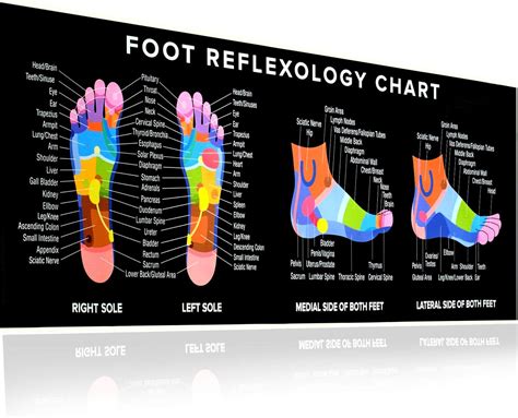 Foot Reflexology Poster Chart Banner 54” X 17 25” Color Free Download Nude Photo Gallery